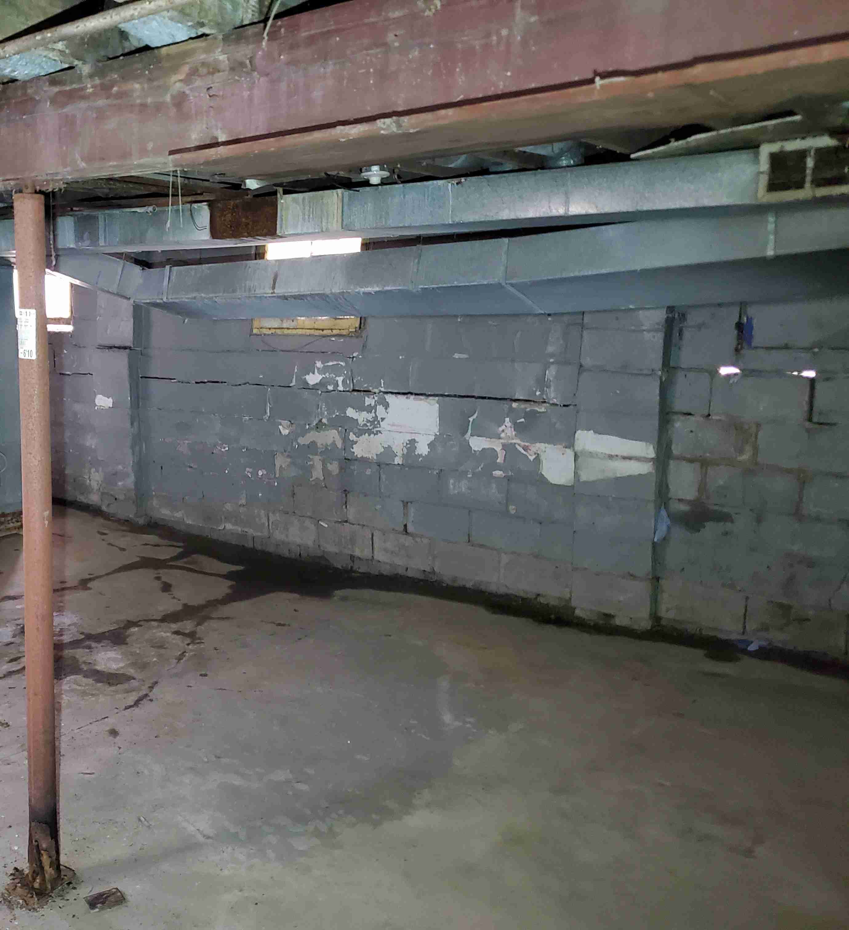 20210419_132908 (2).jpg